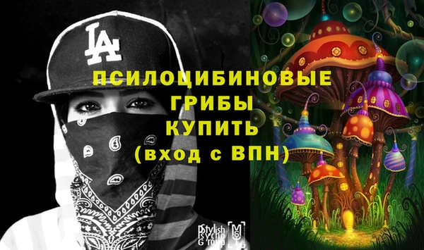 ГАЛЛЮЦИНОГЕННЫЕ ГРИБЫ Пестово