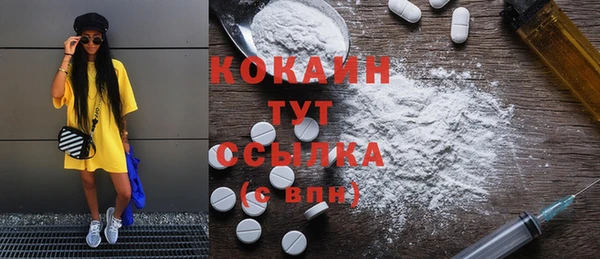 МДПВ Алзамай