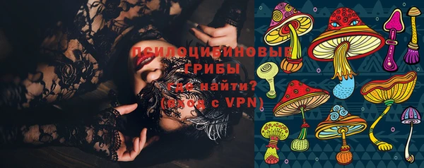 дурь Алексин