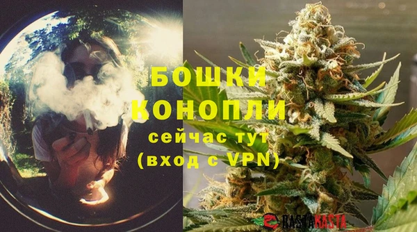 тгк Переславль-Залесский